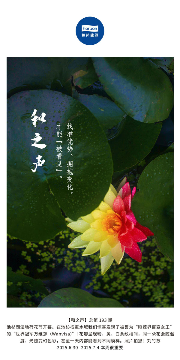 【和之声】找准优势、拥抱变动，能力“被看见”。(总第193期）--2025.6中文导出季度推送用.jpg