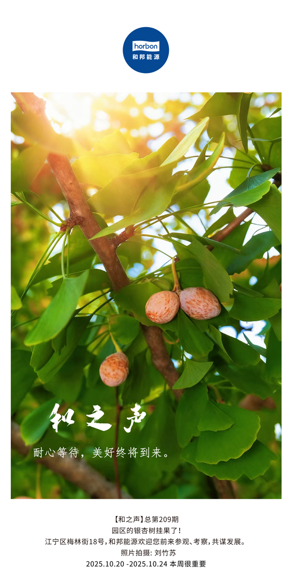 【和之声】耐心期待，美好终将到来。-(总第209期）2025.10.20中文导出季度推送用.jpg